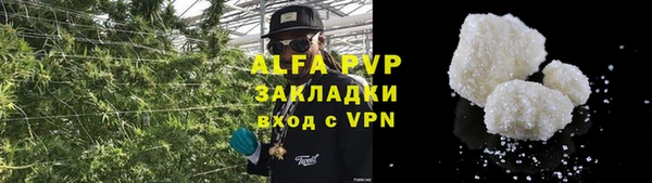 стаф Вяземский