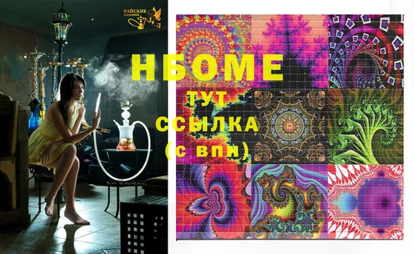стаф Вяземский