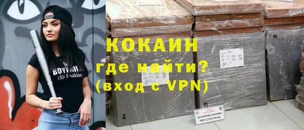 стаф Вяземский