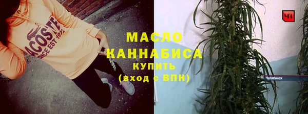 стаф Вяземский