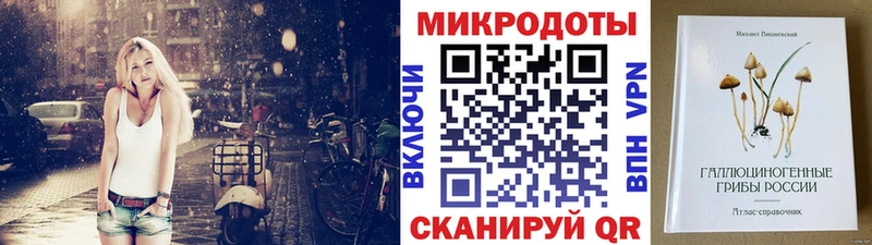 Купить закладки  Кингисепп  Галлюциногенные грибы Psilocybine cubensis 